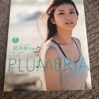 武井咲写真集