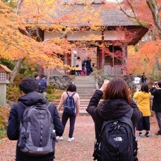 1/5・1/6のどちらかで散歩と写真撮影巡り！
