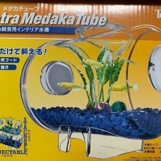 メダカ 飼育容器