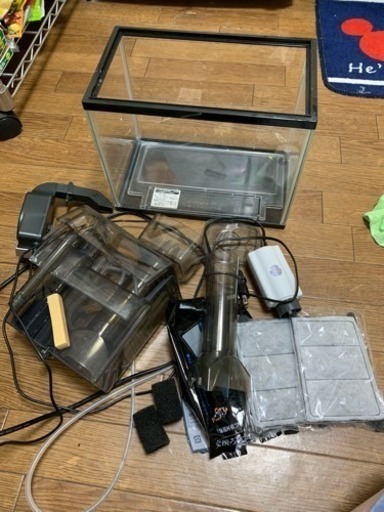 観賞魚 セット