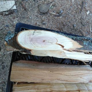 広葉樹ケヤキの薪！丸１年乾燥。含水率１８％程度。長さ３５cm程度。１kgあた４５円。１８年９月〜１１月伐採。茨城県潮来市。の画像