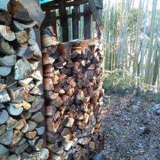 広葉樹ケヤキの薪！丸１年乾燥。含水率１８％程度。長さ３５cm程度。１kgあた４５円。１８年９月〜１１月伐採。茨城県潮来市。の画像