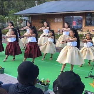 河内長野・大阪狭山でフラダンス ♪ ★フラ リコリノ Hula Liko Lino★南大阪　奥河内　橋本市　堺市　富田林市　河南町の画像