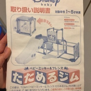 ジャングルジム 訳あり
