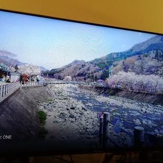 ハイセンス 50インチテレビ