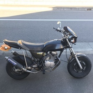 エイプ50 神奈川県の画像