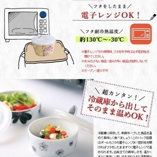 ［新品同様］エミリオロバ  マルチレンジボール 5個セットの画像