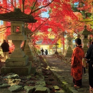 写真･カメラサークル in 長野📷 − 長野県
