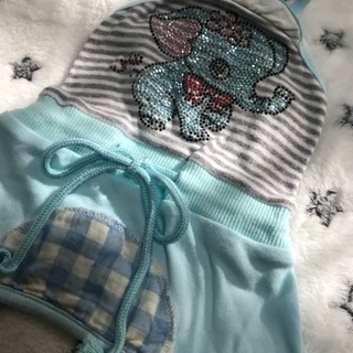 犬 ペット服の画像