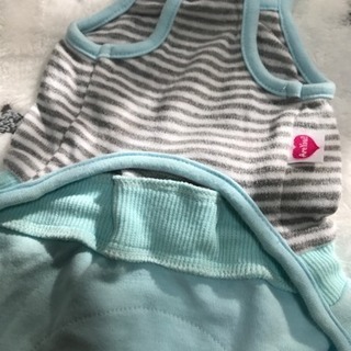犬 ペット服の画像