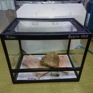 爬虫類ケージ Ｒepro450とシェルター、敷石