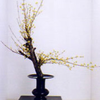 古都・鎌倉で伝統的な「生け花（いけばな）」を始めませんか？ (古流松月会)    Come & learn traditional Japanese flower arrangement 'Ikebana' in Japan's ancient capital Kamakura.の画像