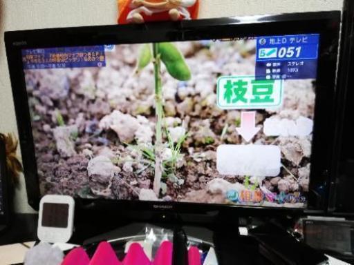 シャープ　AQUOS　32型液晶テレビ　中古　LC-32E8