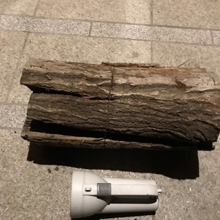 薪　業務用薪　ピザ窯用　薪ストーブ用　乾燥済み　大量購入の場合茂木近郊無料配達しますの画像