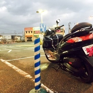 現行型マジェスティ 250ccの画像