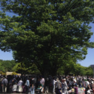 【練馬区】光が丘公園　フリーマーケット　【10:00～15:00】