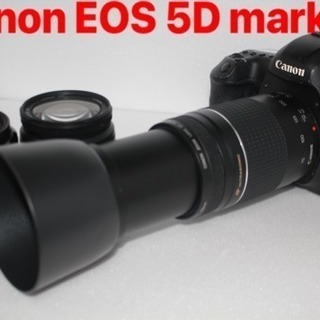 ★キャノン★ Canon EOS 5D MarkIII 標準&望...