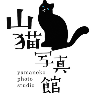 家族写真を撮影する写真館でのアシスタントの募集です。