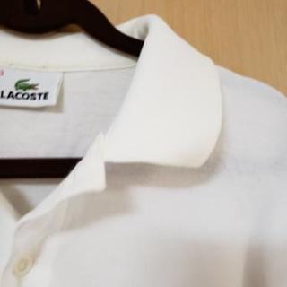ラコステ メンズの画像