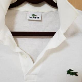 ラコステ メンズの画像