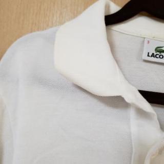 ラコステ メンズの画像
