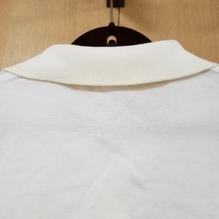 ラコステ メンズの画像