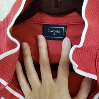 ラコステ メンズ ポロシャツの画像
