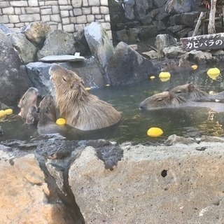 マッサージなどで働いている方👐
