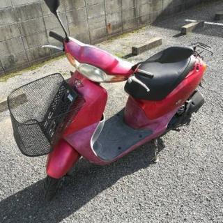 実働 Dio Fit 赤 50cc 原付 自賠責保険残ってます