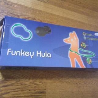 Funkey Hula　ファンキーフラの画像