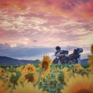 旅 写真友達募集