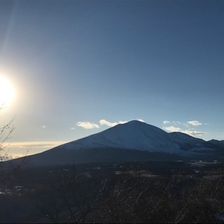 🌸✨お独り様会✨🌸