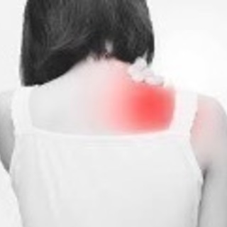 痛み知らず 疲れ知らずの体つくりセミナー