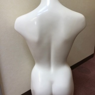 ボディ【トルソー】の画像