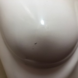 ボディ【トルソー】の画像