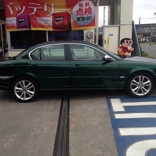 ジャガーの画像