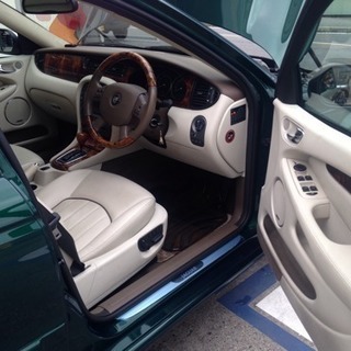 ジャガーの画像