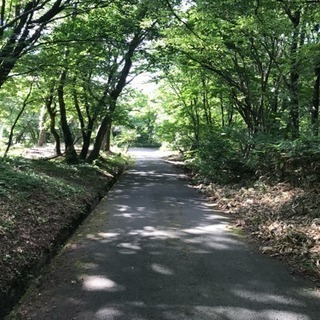 山陰で楽しく！メンバー募集！ − 鳥取県