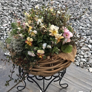 新しい寄せ植えの技法/ギャザリングの画像