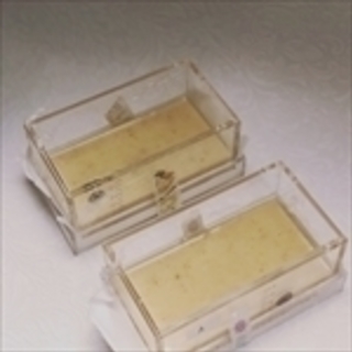 手作り石けん体験レッスン