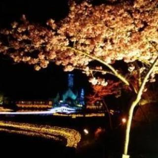 禁煙のお手伝いいたします。