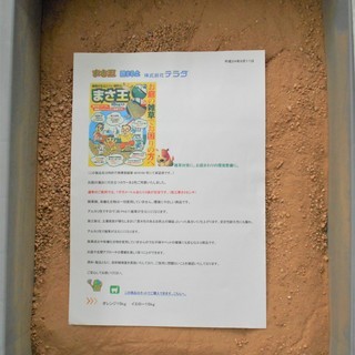固まる土(オレンジ色)