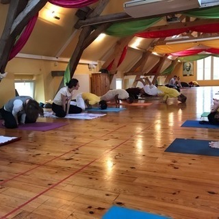 シバナンダヨガ お試しキャンペーン 1月15日〜22日の画像