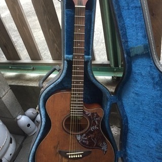 YAMAHA APX 4A 魔改造。ハードケース付き