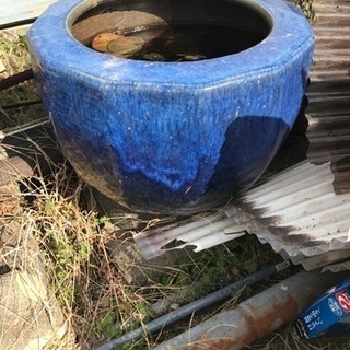 鉢の画像