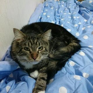 1才の男の子です