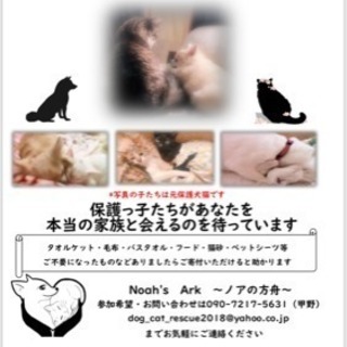 わんにゃん里親会