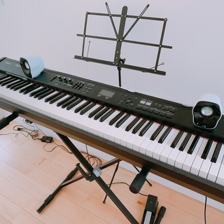 RH-300　ローランド　ピアノ RH-300 ローランド ピアノ RH-300 ローランド ピアノ Roland