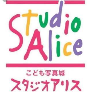 スタジオアリス★撮影半額クーポンの画像
