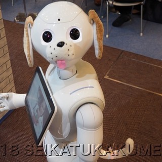 [さいたま市]ロボットイベントの営業アシスタント[週12時間～]の画像